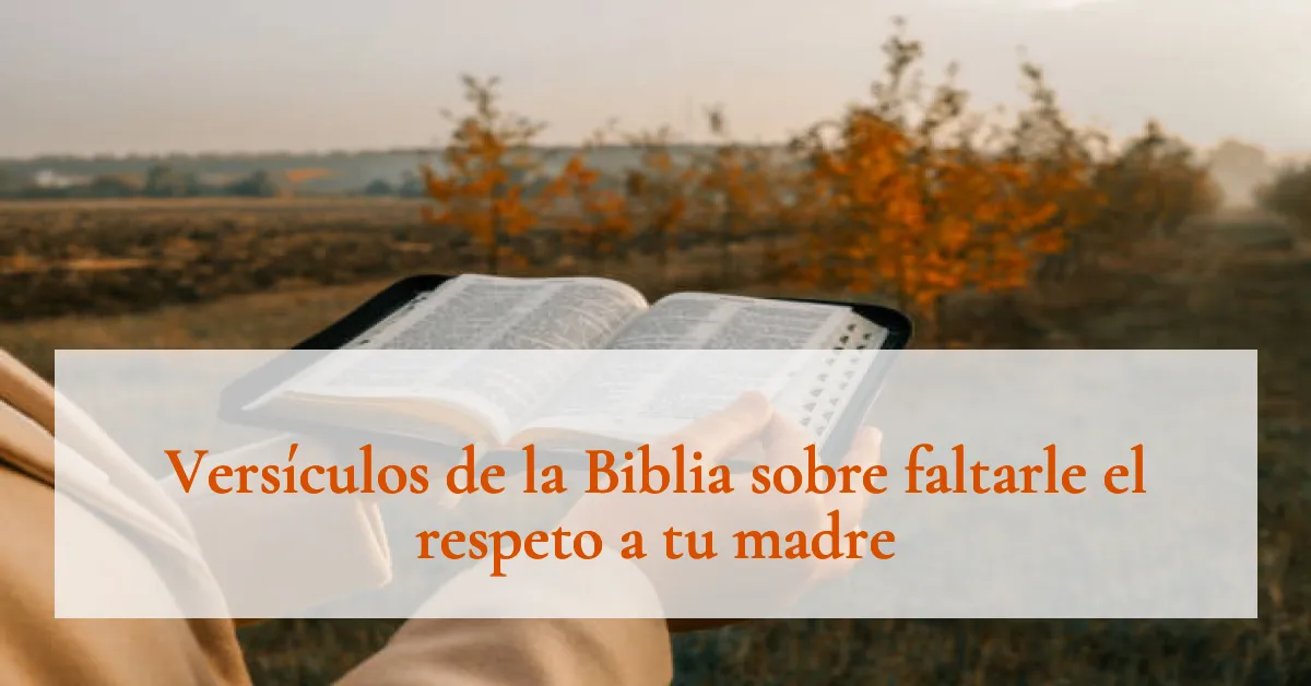 Versículos de la Biblia sobre faltarle el respeto a tu madre