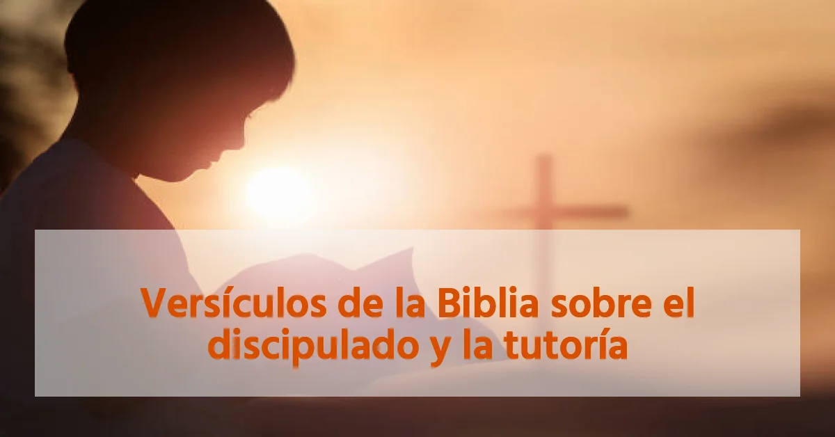 Versículos de la Biblia sobre el discipulado y la tutoría