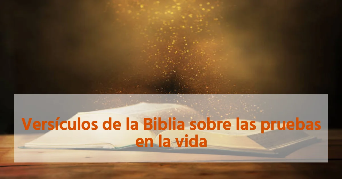 Versículos de la Biblia sobre las pruebas en la vida