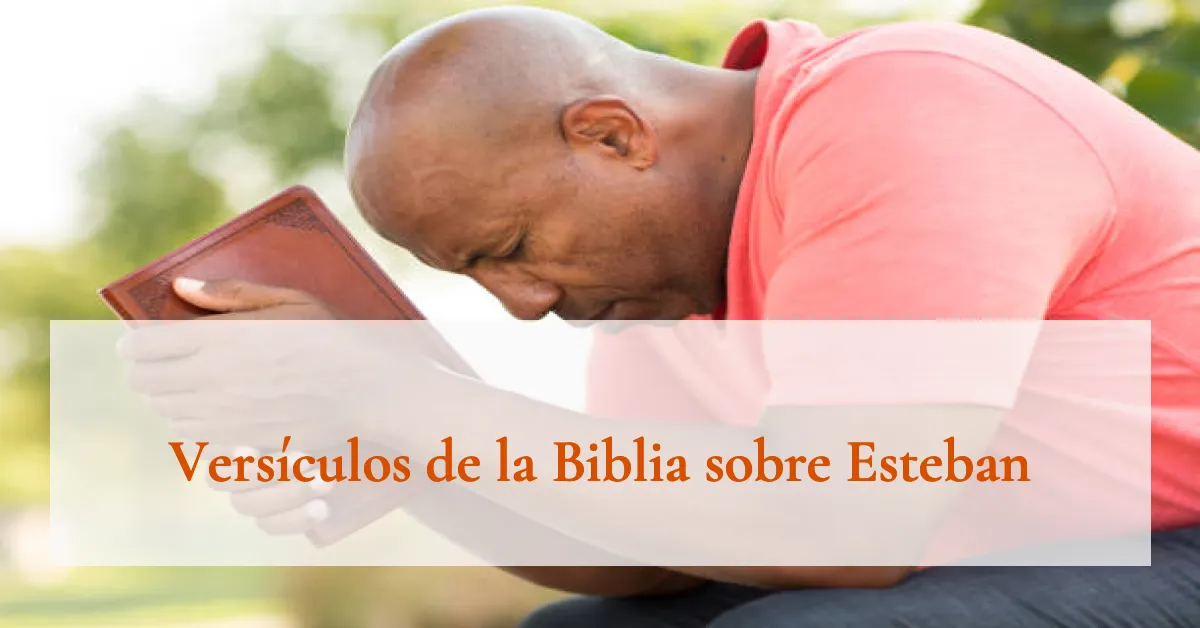 Versículos de la Biblia sobre Esteban