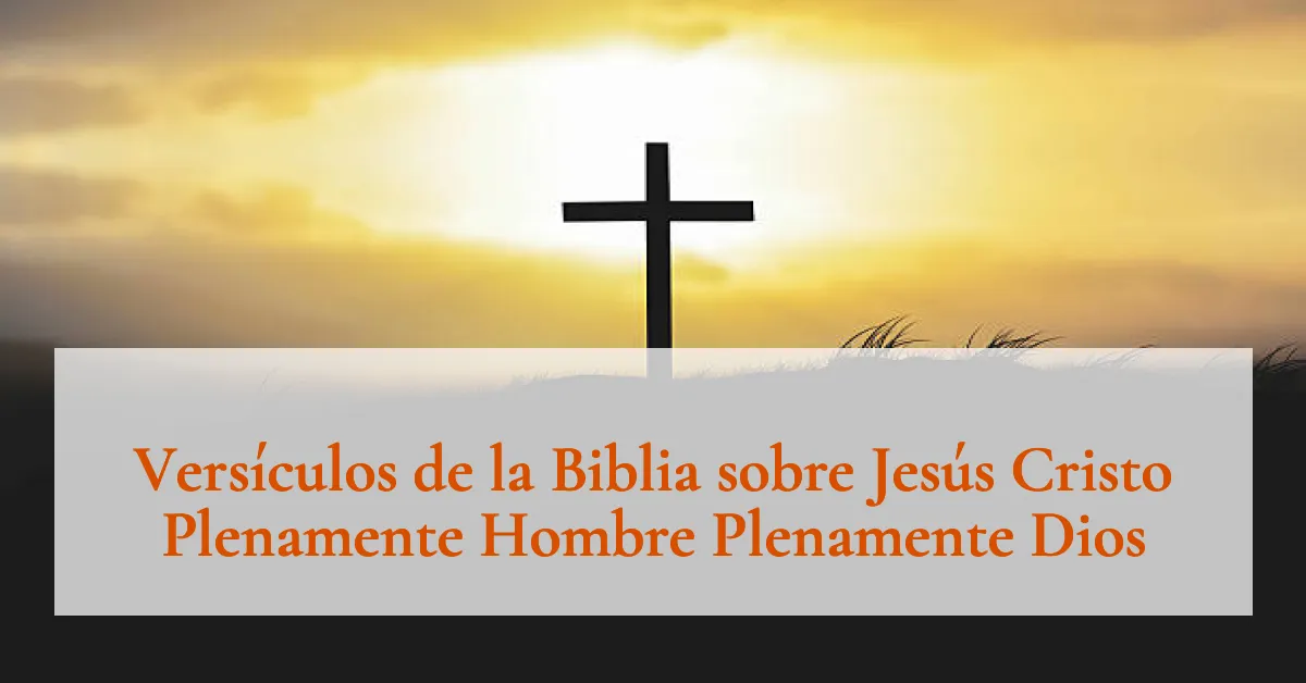Versículos de la Biblia sobre Jesús Cristo Plenamente Hombre Plenamente Dios