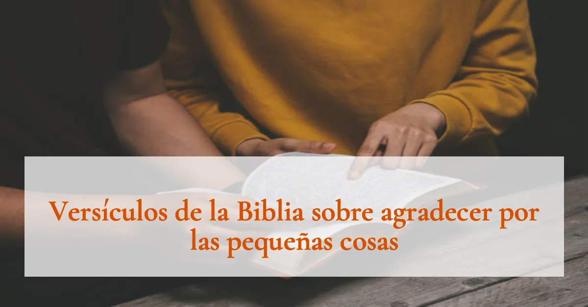 Versículos de la Biblia sobre agradecer por las pequeñas cosas