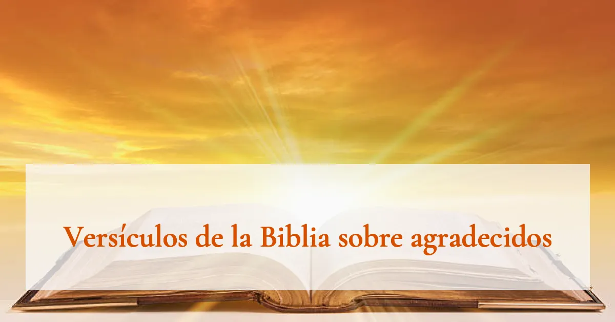 Versículos de la Biblia sobre agradecidos