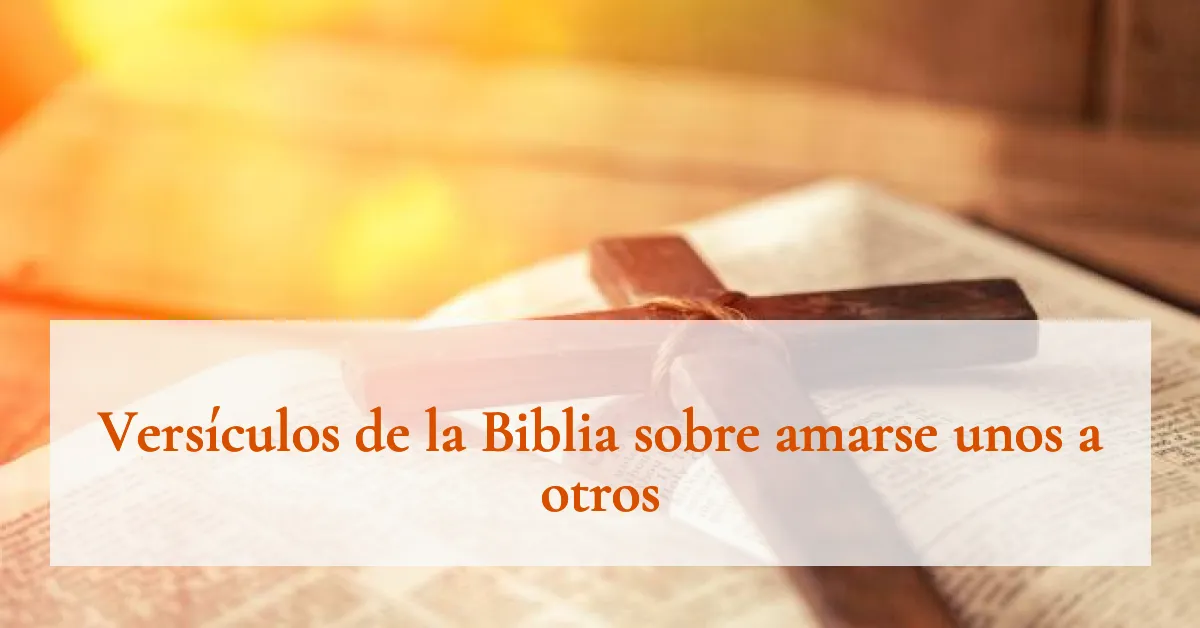 Versículos de la Biblia sobre amarse unos a otros