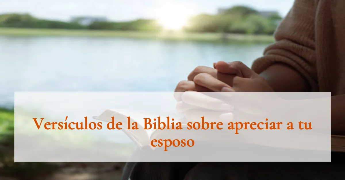 Versículos de la Biblia sobre apreciar a tu esposo