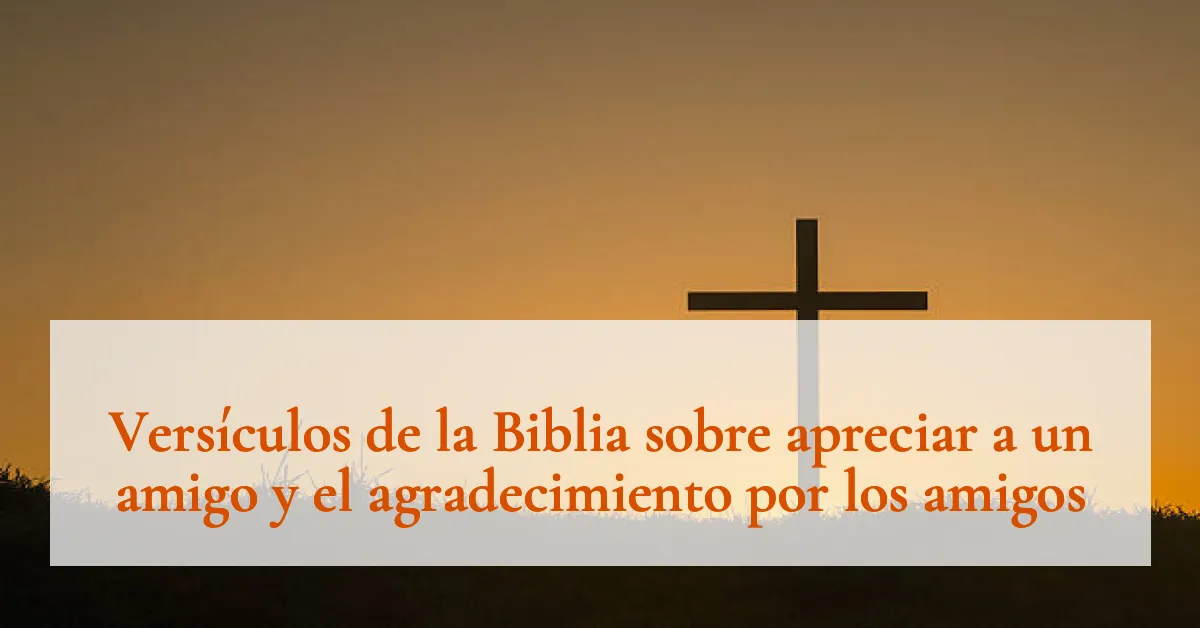 Versículos de la Biblia sobre apreciar a un amigo y el agradecimiento por los amigos