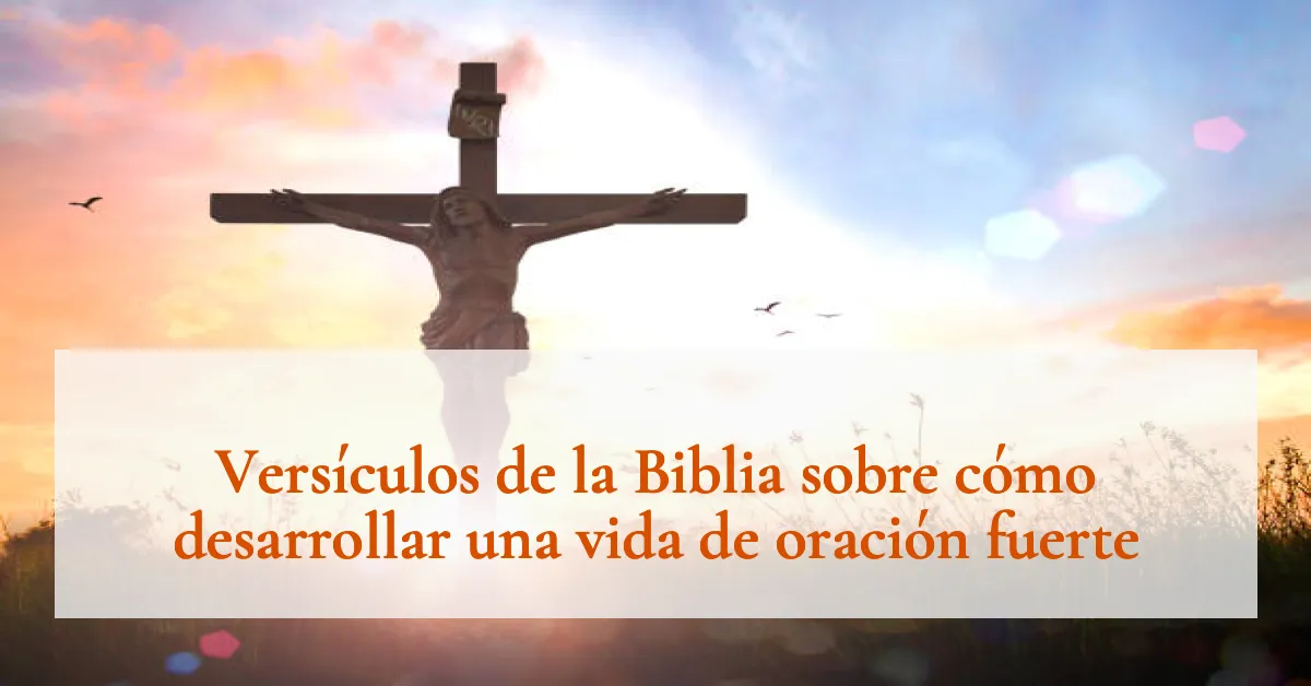 Versículos de la Biblia sobre cómo desarrollar una vida de oración fuerte