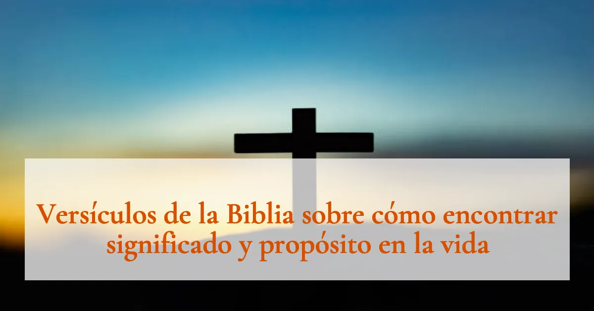 Versículos de la Biblia sobre cómo encontrar significado y propósito en la vida
