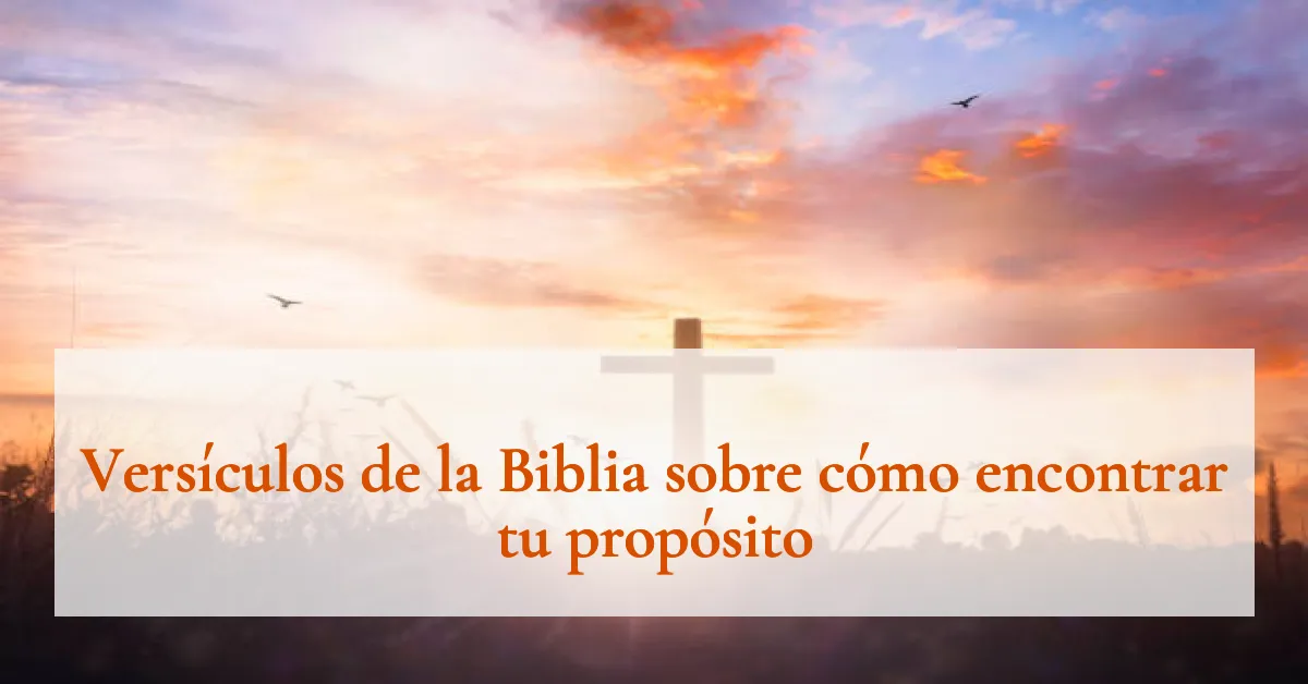 Versículos de la Biblia sobre cómo encontrar tu propósito
