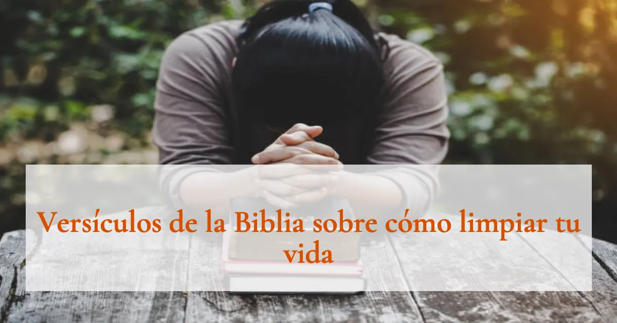 Versículos de la Biblia sobre cómo limpiar tu vida