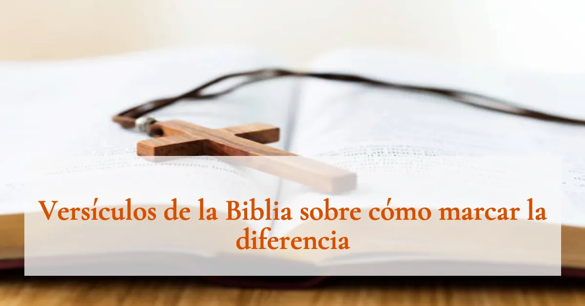 Versículos de la Biblia sobre cómo marcar la diferencia