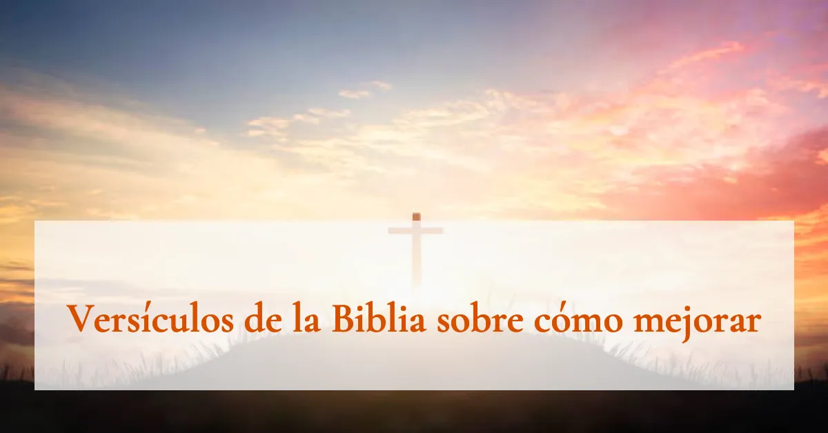 Versículos de la Biblia sobre cómo mejorar