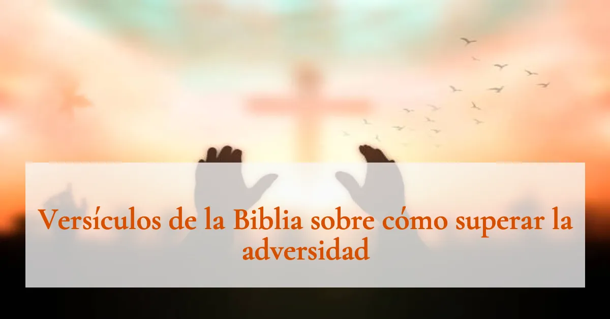 Versículos de la Biblia sobre cómo superar la adversidad
