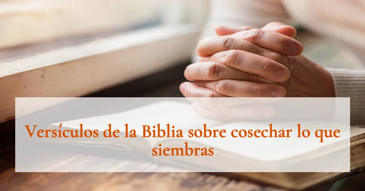 Versículos de la Biblia sobre cosechar lo que siembras