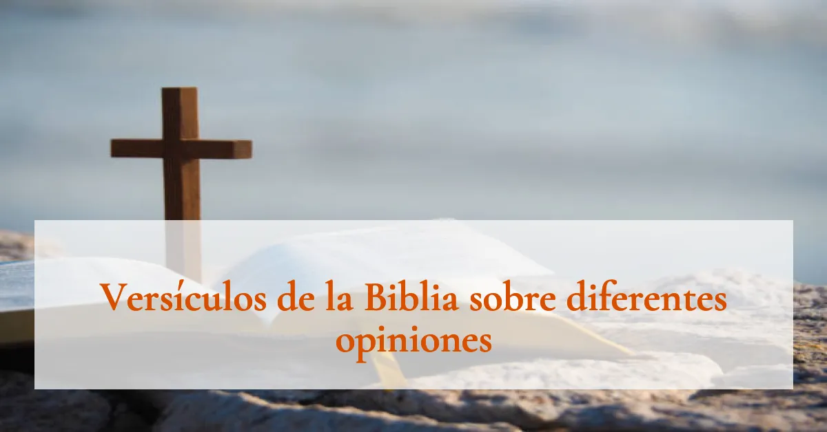 Versículos de la Biblia sobre diferentes opiniones