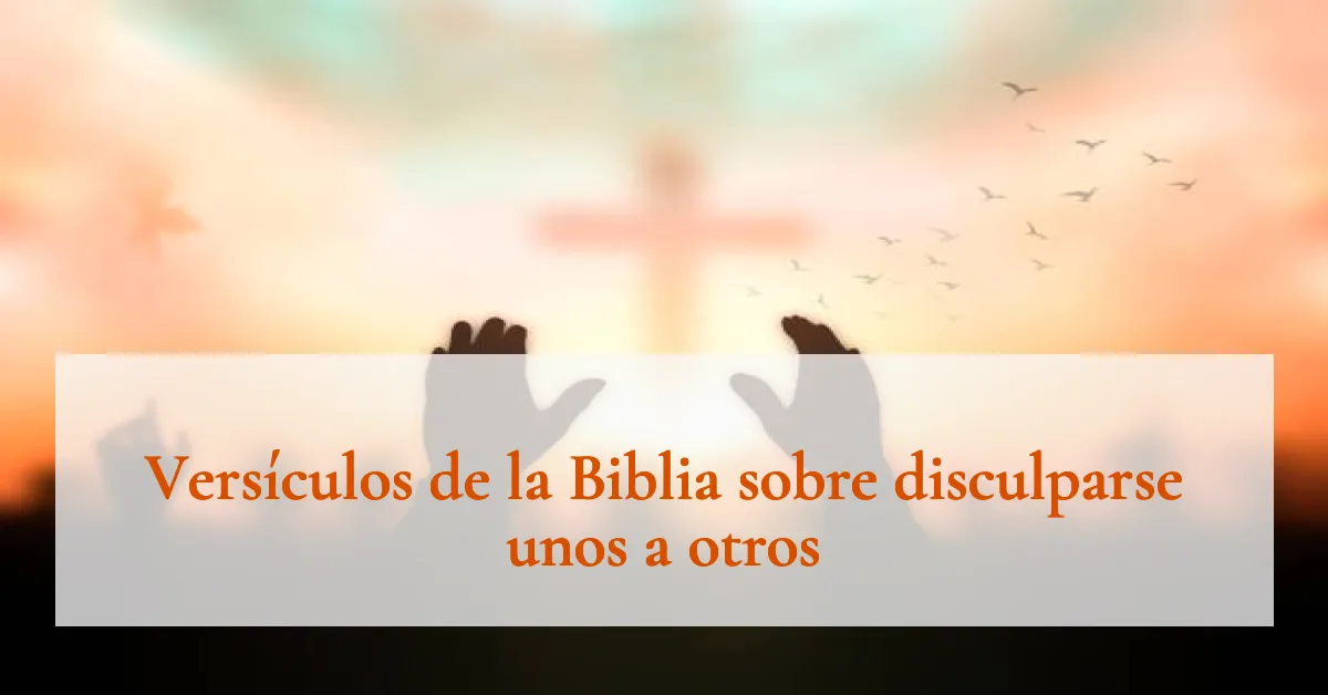 Versículos de la Biblia sobre disculparse unos a otros