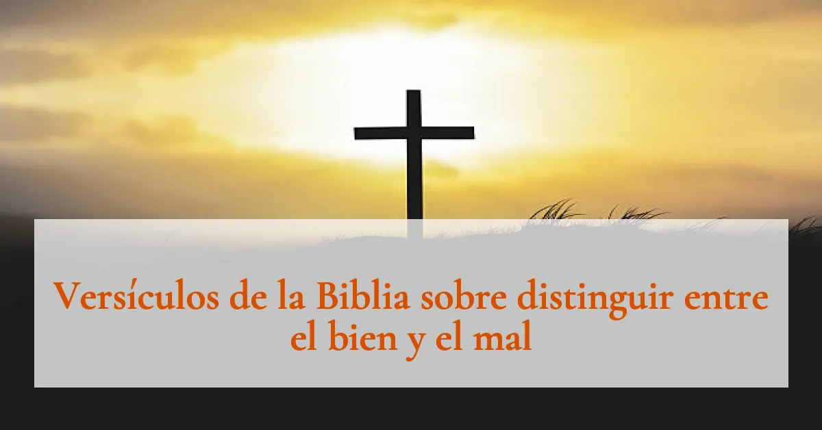 Versículos de la Biblia sobre distinguir entre el bien y el mal