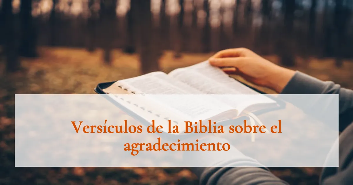 Versículos de la Biblia sobre el agradecimiento
