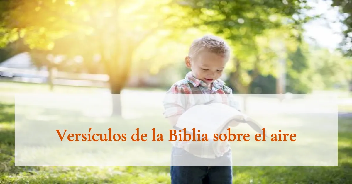 Versículos de la Biblia sobre el aire