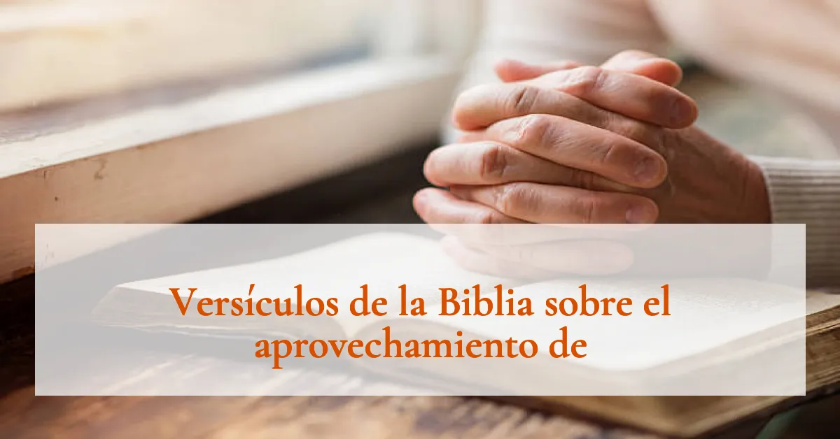 Versículos de la Biblia sobre el aprovechamiento de