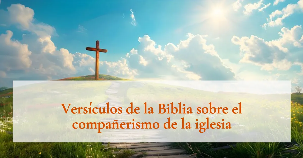 Versículos de la Biblia sobre el compañerismo de la iglesia