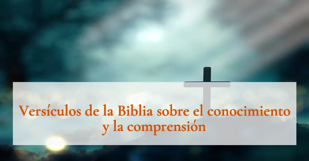 Versículos de la Biblia sobre el conocimiento y la comprensión