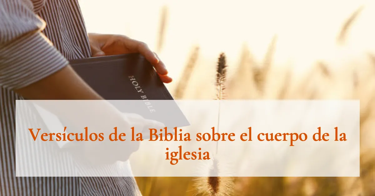 Versículos de la Biblia sobre el cuerpo de la iglesia
