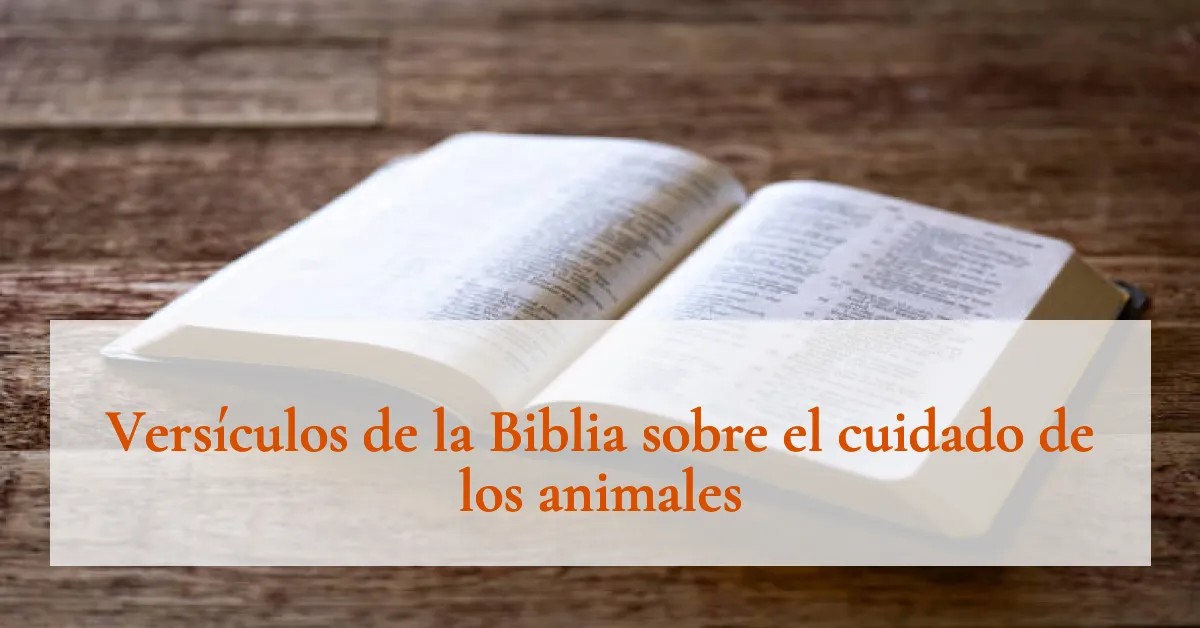 Versículos de la Biblia sobre el cuidado de los animales