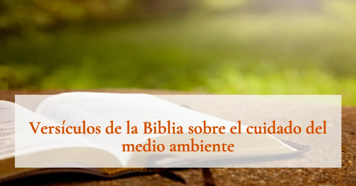 Versículos de la Biblia sobre el cuidado del medio ambiente