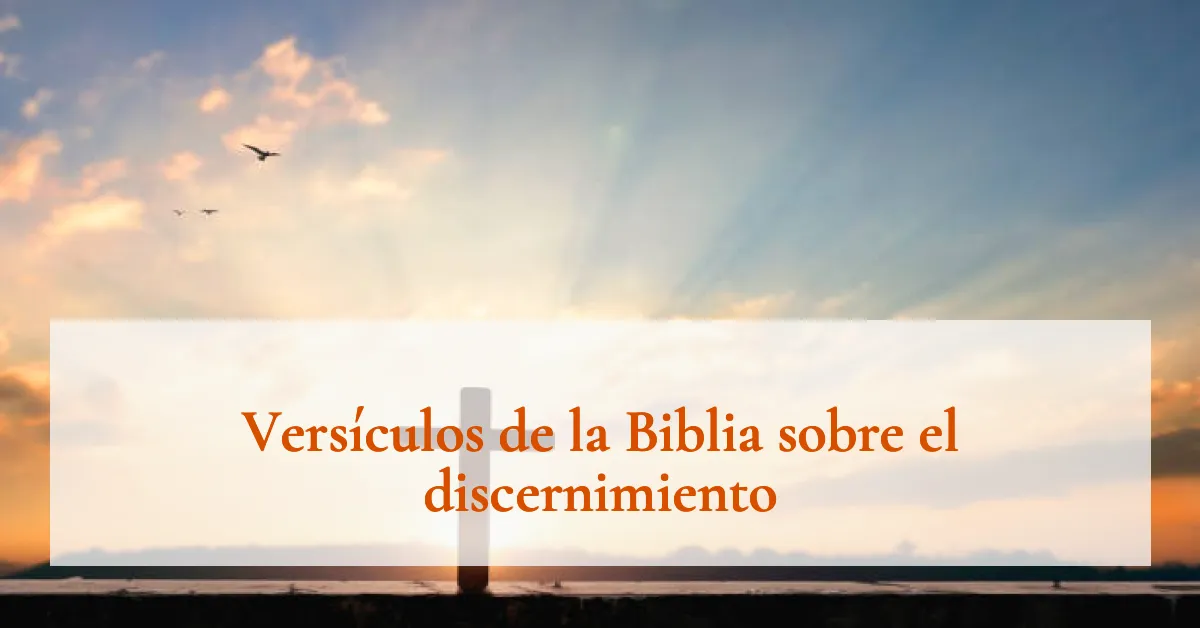 Versículos de la Biblia sobre el discernimiento
