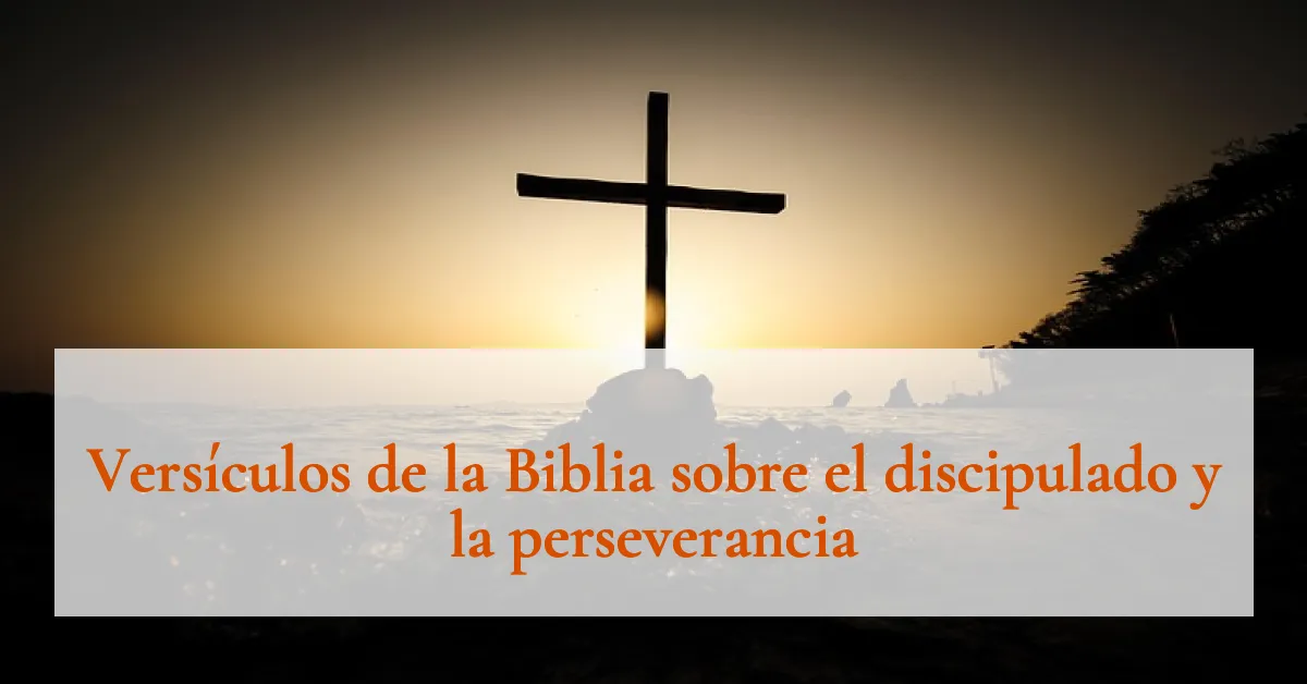 Versículos de la Biblia sobre el discipulado y la perseverancia