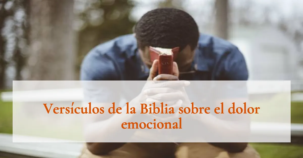 Versículos de la Biblia sobre el dolor emocional