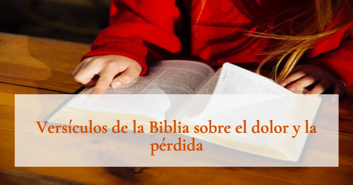 Versículos de la Biblia sobre el dolor y la pérdida