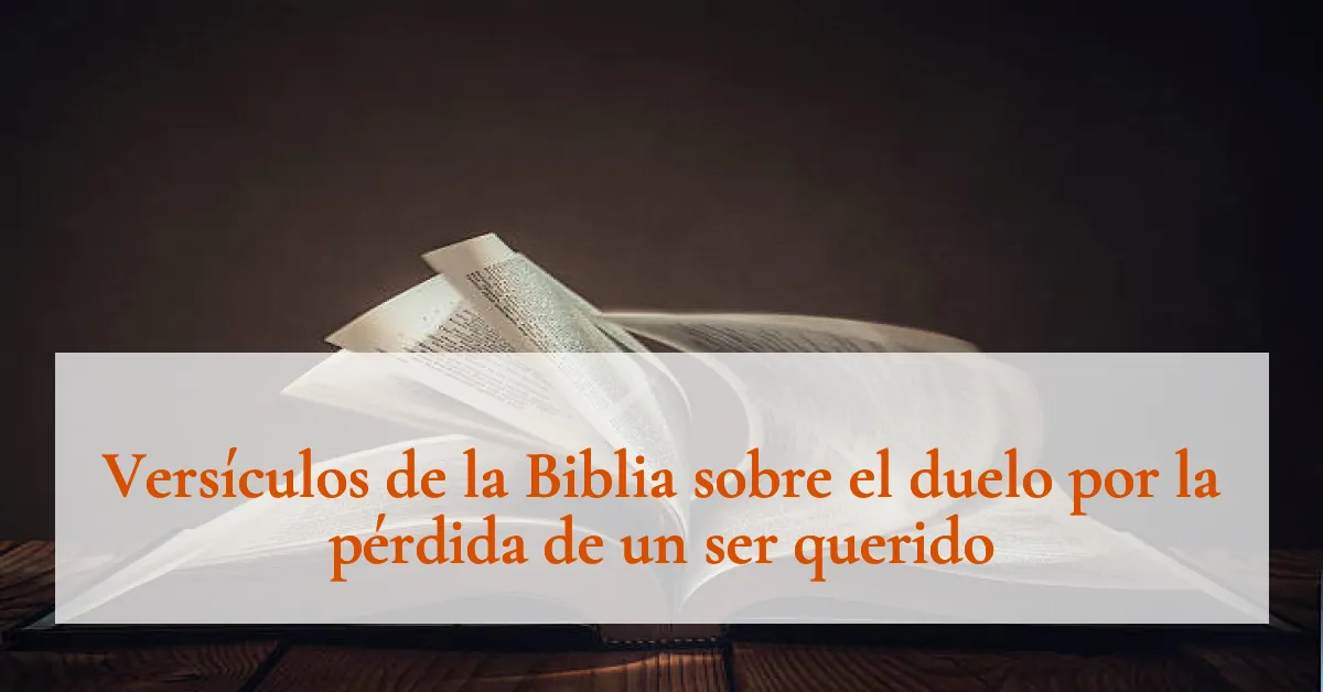 Versículos de la Biblia sobre el duelo por la pérdida de un ser querido