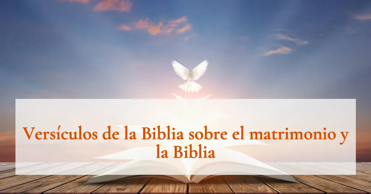 Versículos de la Biblia sobre el matrimonio y la Biblia