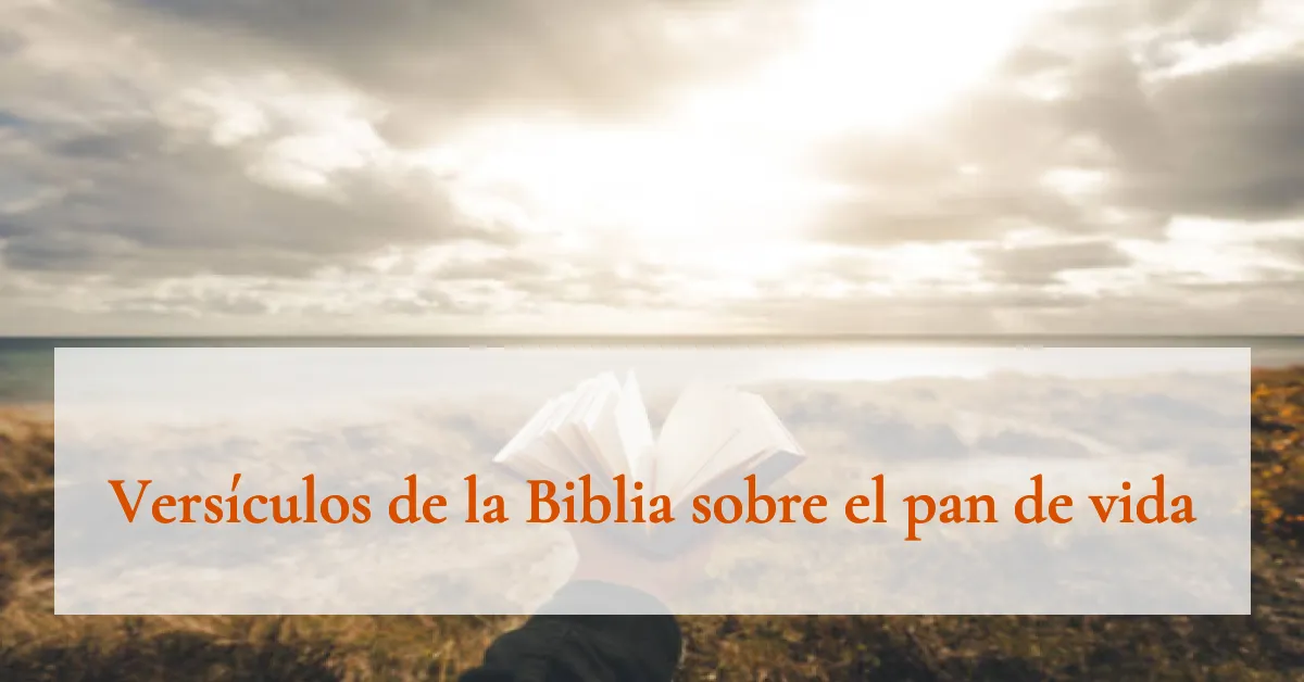 Versículos de la Biblia sobre el pan de vida