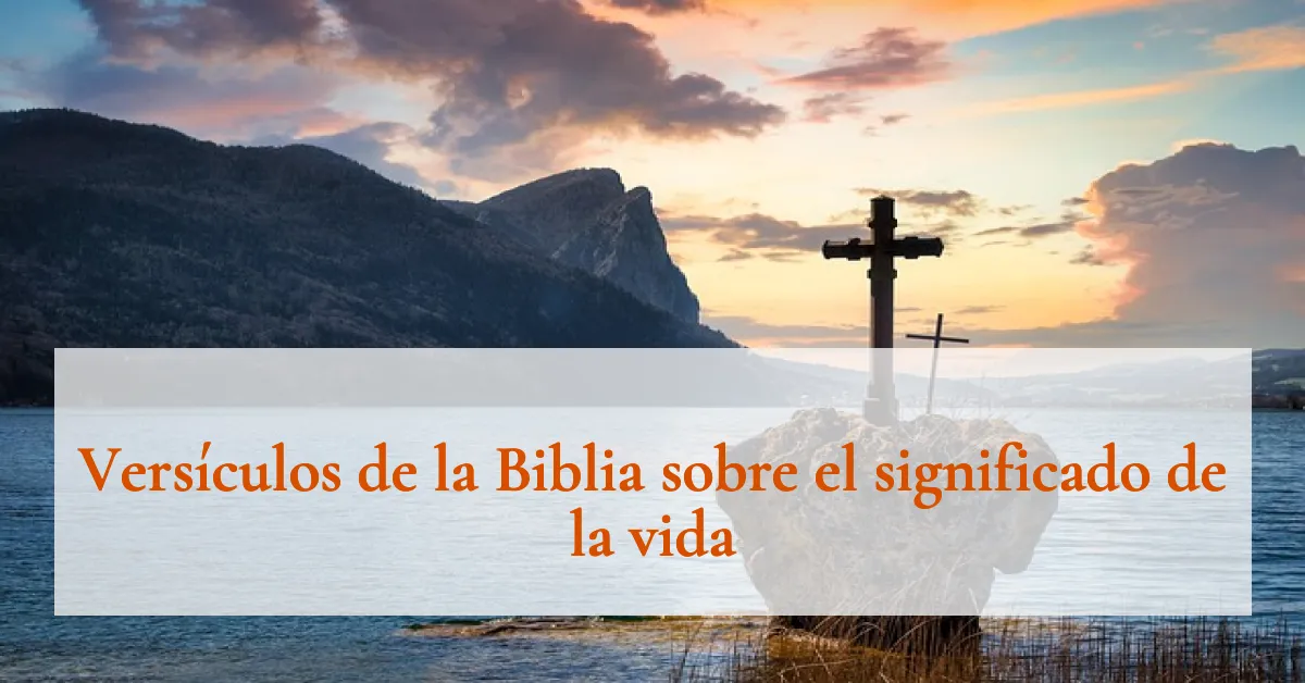 Versículos de la Biblia sobre el significado de la vida