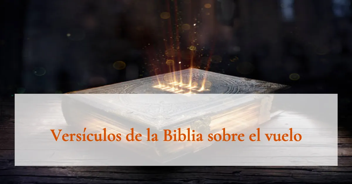 Versículos de la Biblia sobre el vuelo
