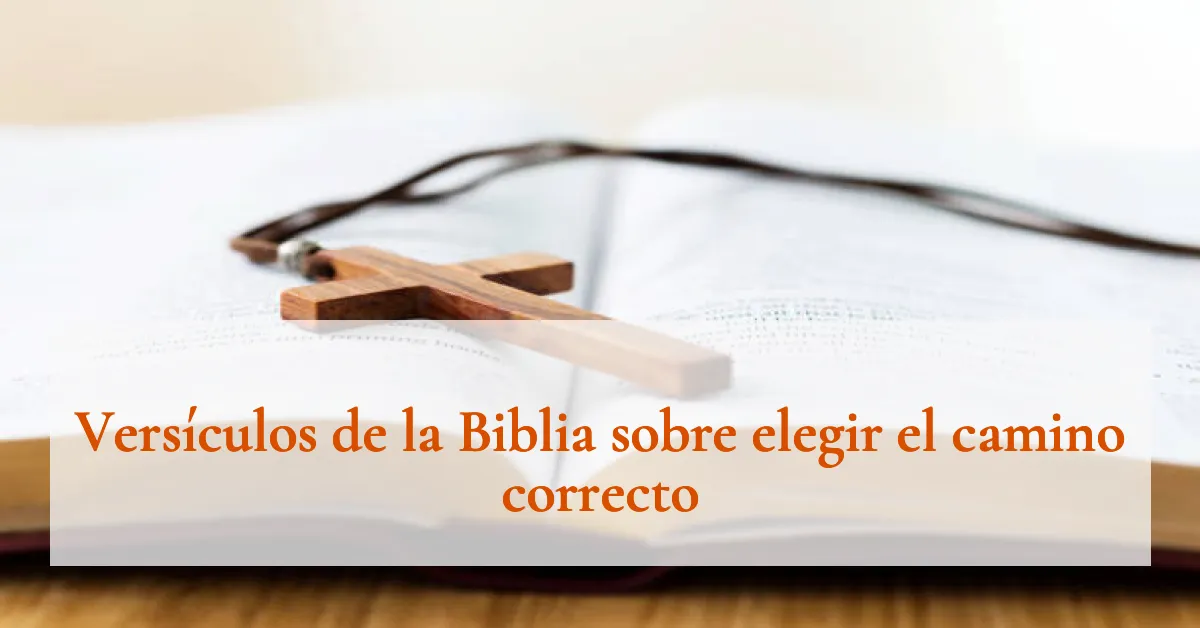 Versículos de la Biblia sobre elegir el camino correcto
