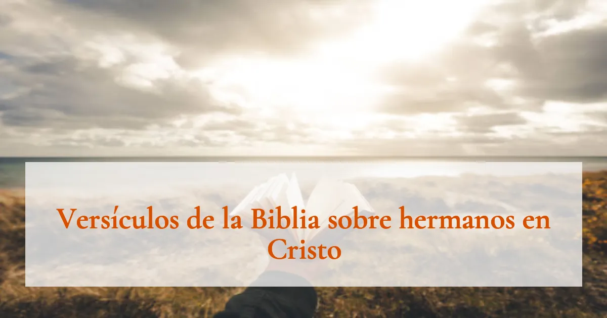 Versículos de la Biblia sobre hermanos en Cristo