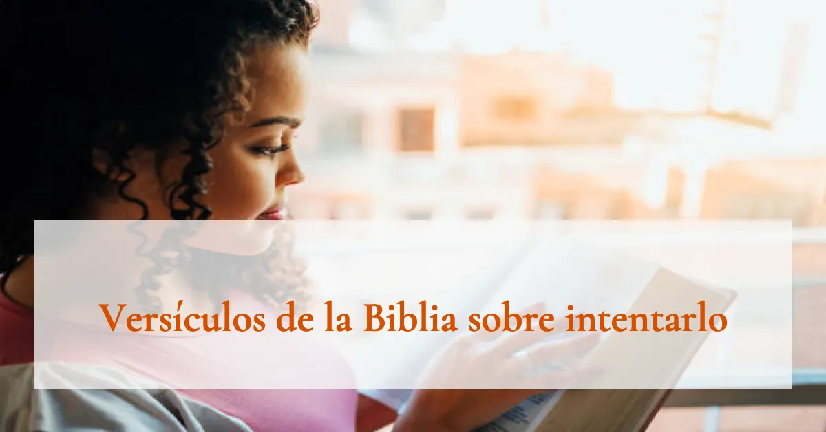 Versículos de la Biblia sobre intentarlo