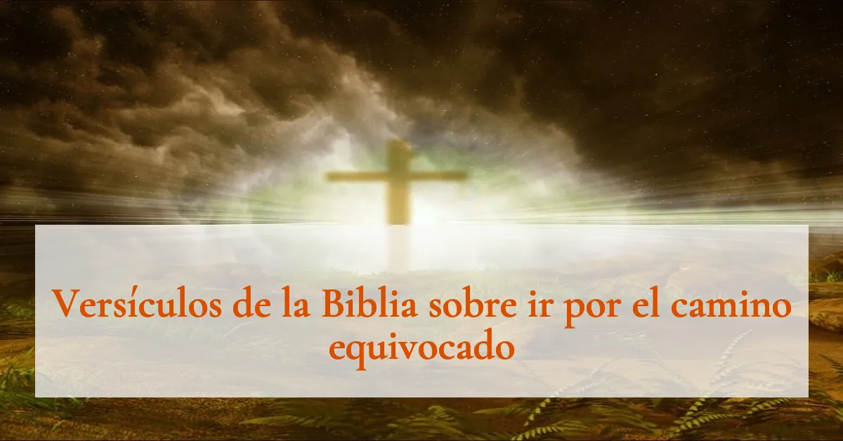 Versículos de la Biblia sobre ir por el camino equivocado