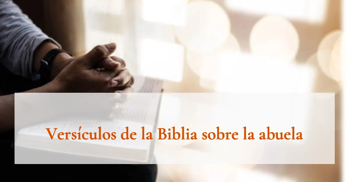 Versículos de la Biblia sobre la abuela