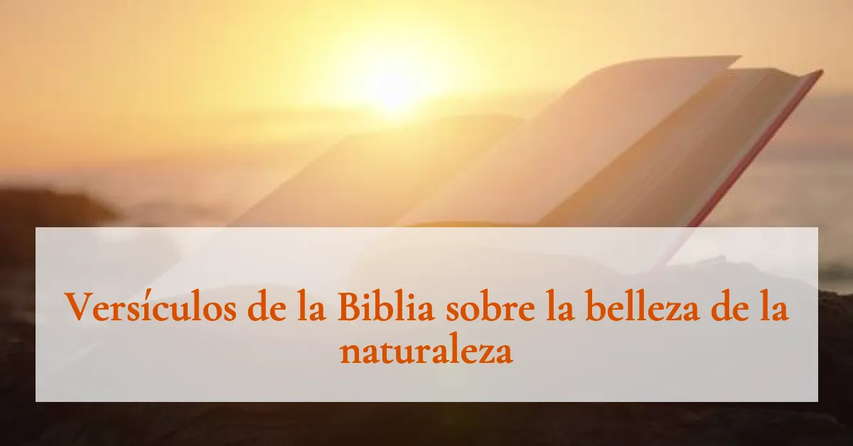 Versículos de la Biblia sobre la belleza de la naturaleza