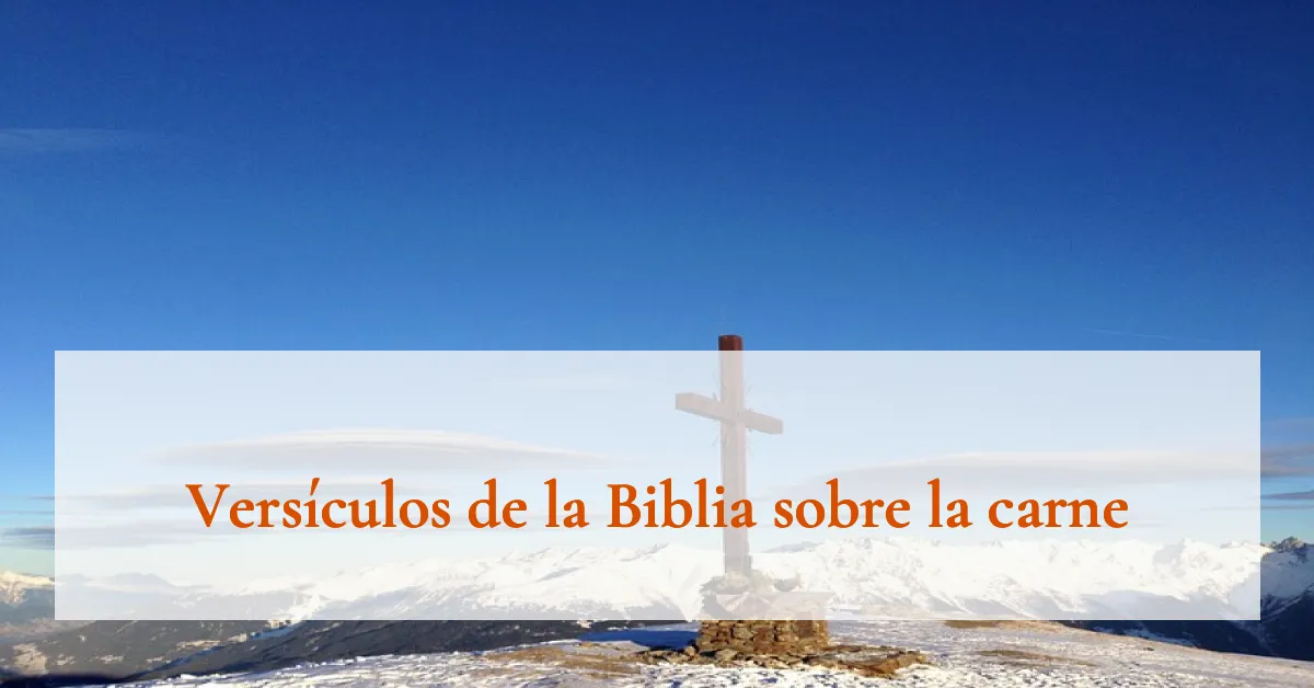 Versículos de la Biblia sobre la carne