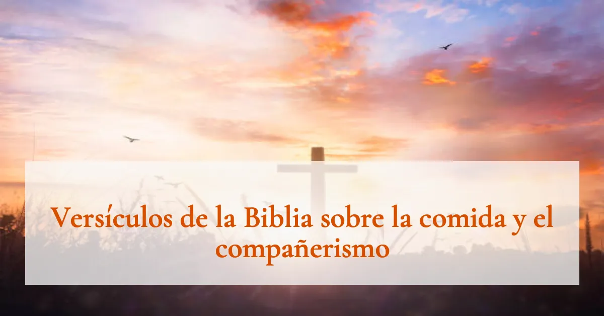 Versículos de la Biblia sobre la comida y el compañerismo