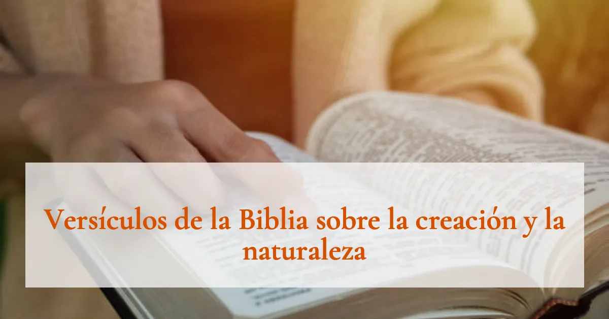 Versículos de la Biblia sobre la creación y la naturaleza
