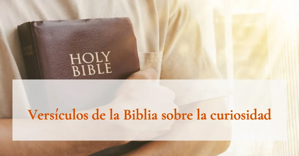 Versículos de la Biblia sobre la curiosidad