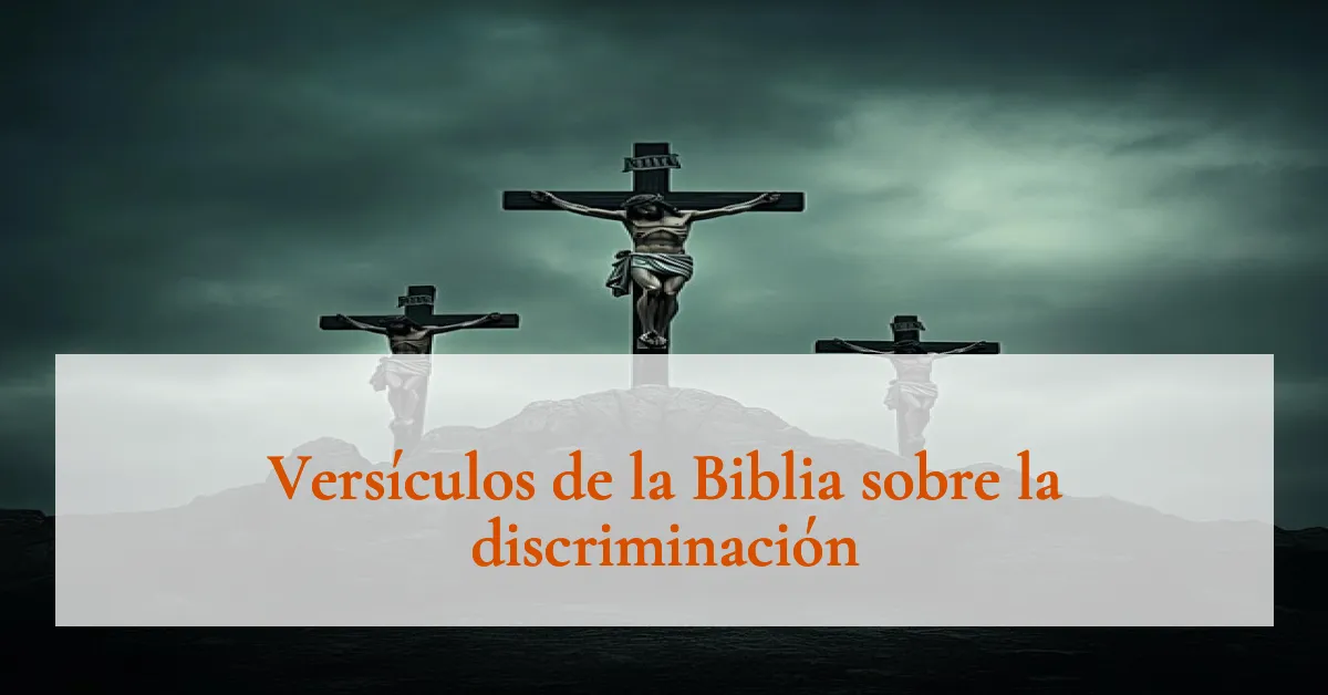 Versículos de la Biblia sobre la discriminación