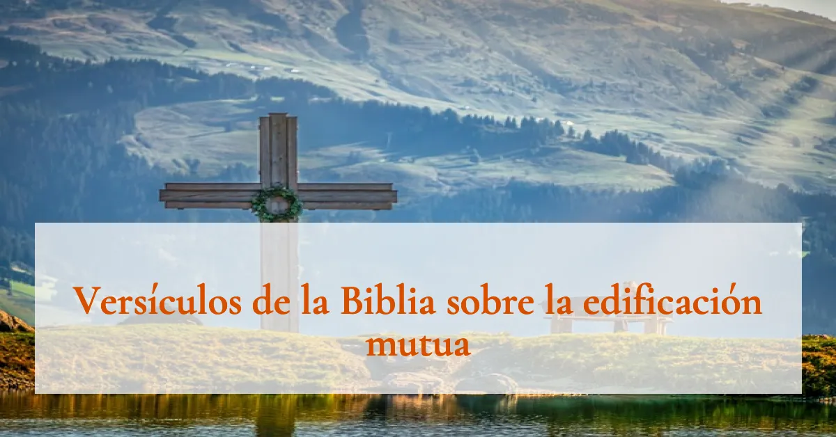 Versículos de la Biblia sobre la edificación mutua